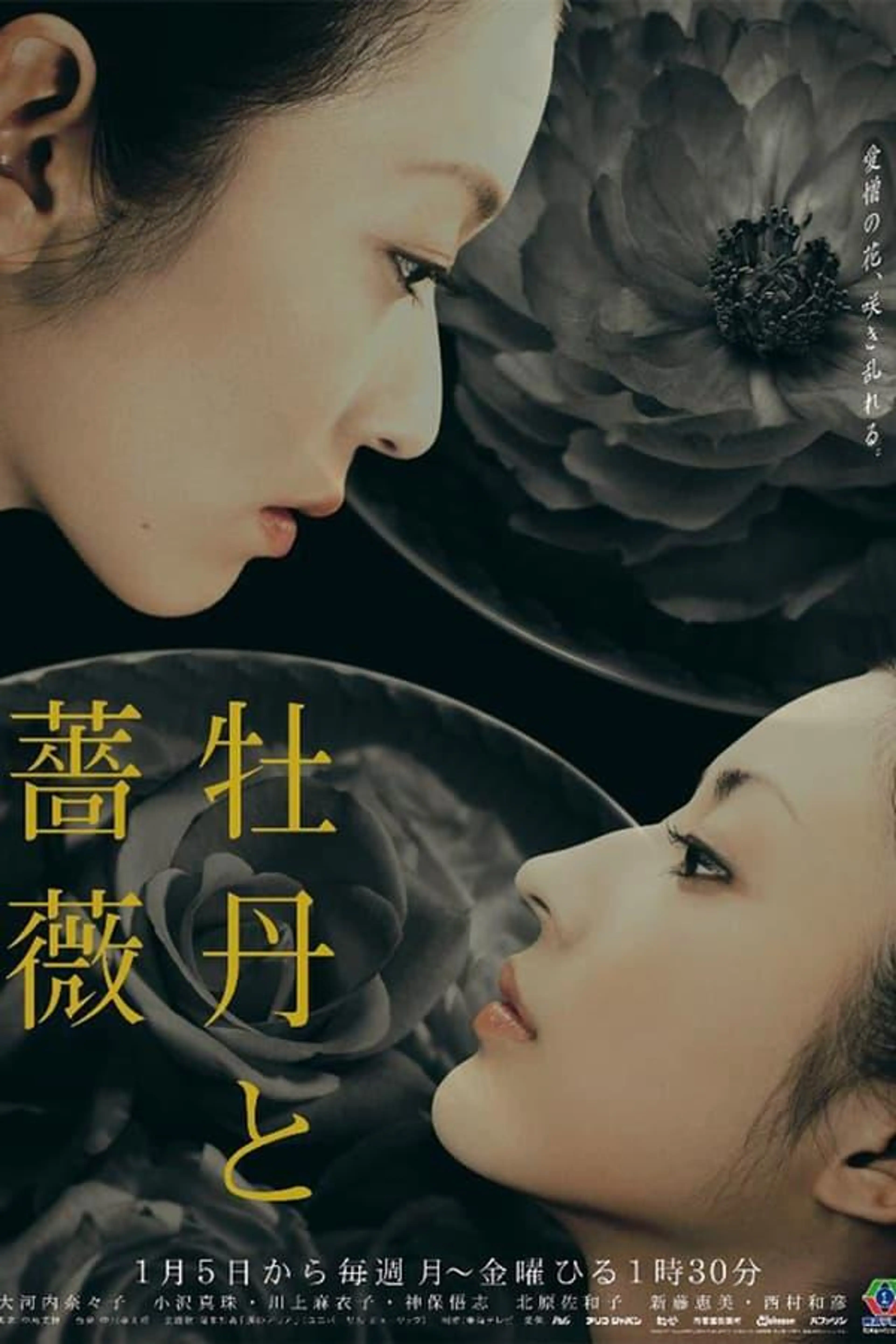 Love and Hatred Season 1
