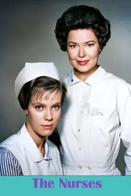 The Nurses Season 2
