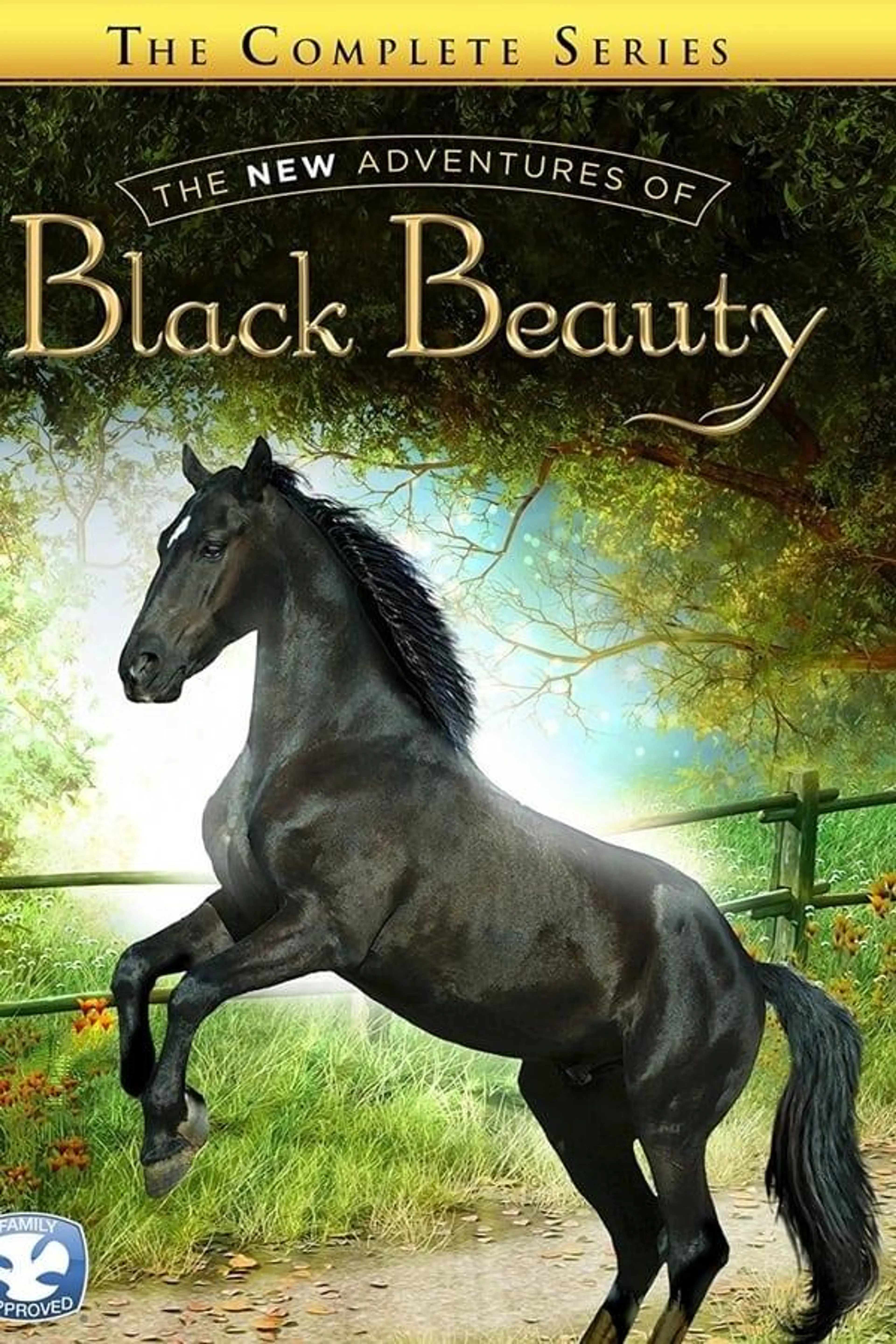 The New Adventures of Black Beauty Season 2