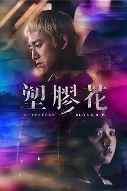 A Perfect Blossom Season 1