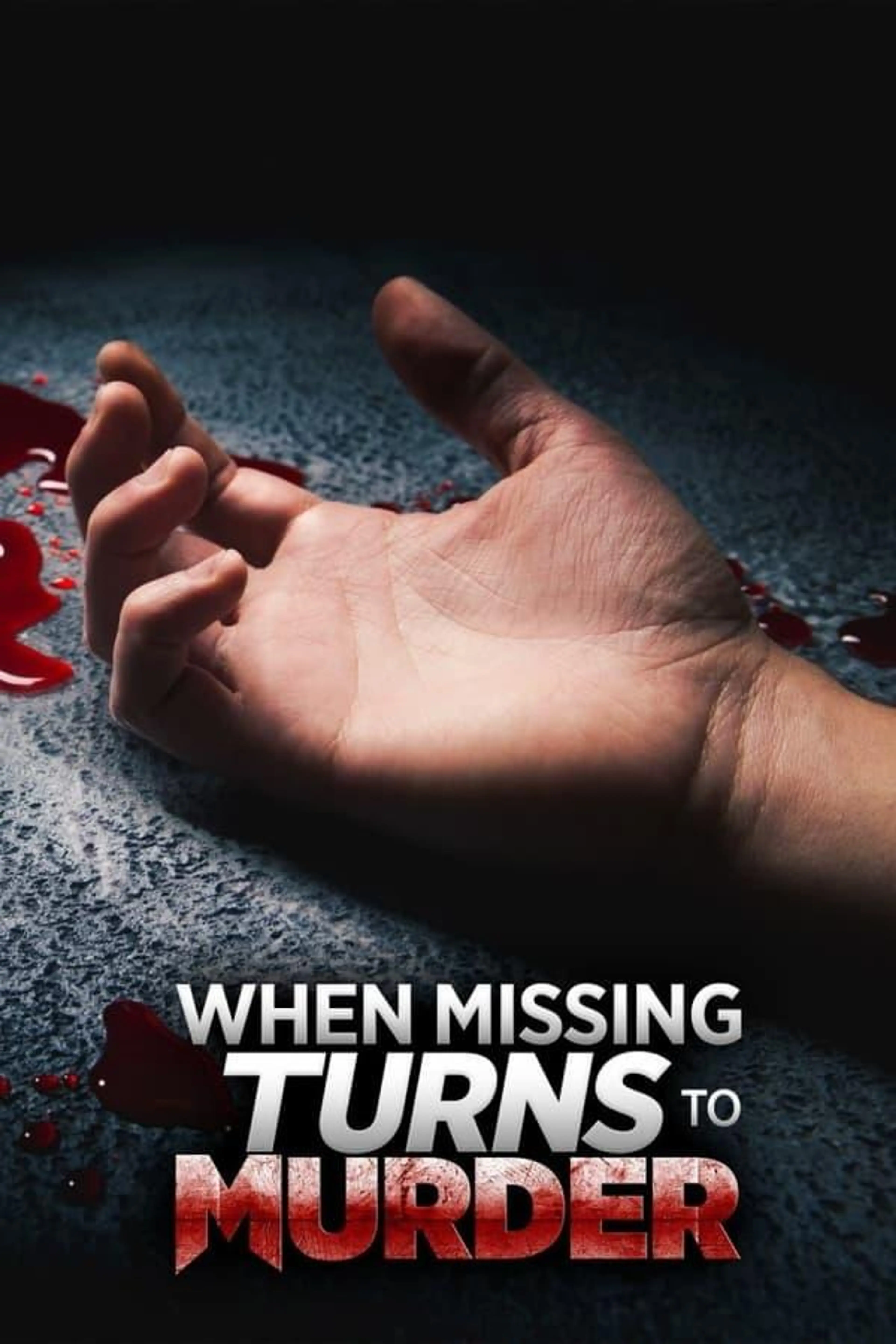 When Missing Turns to Murder Season 2