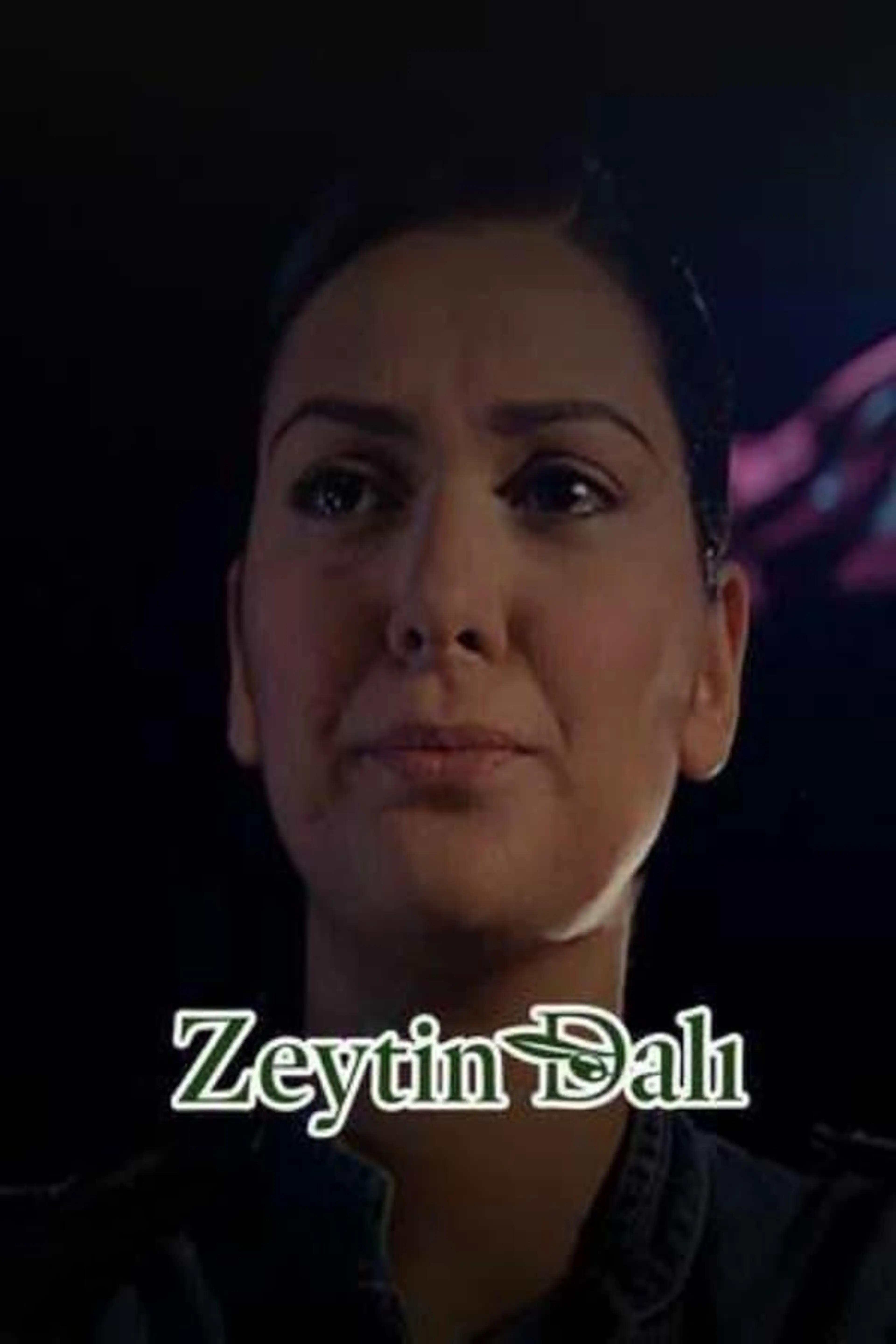 Zeytin Dalı Season 1