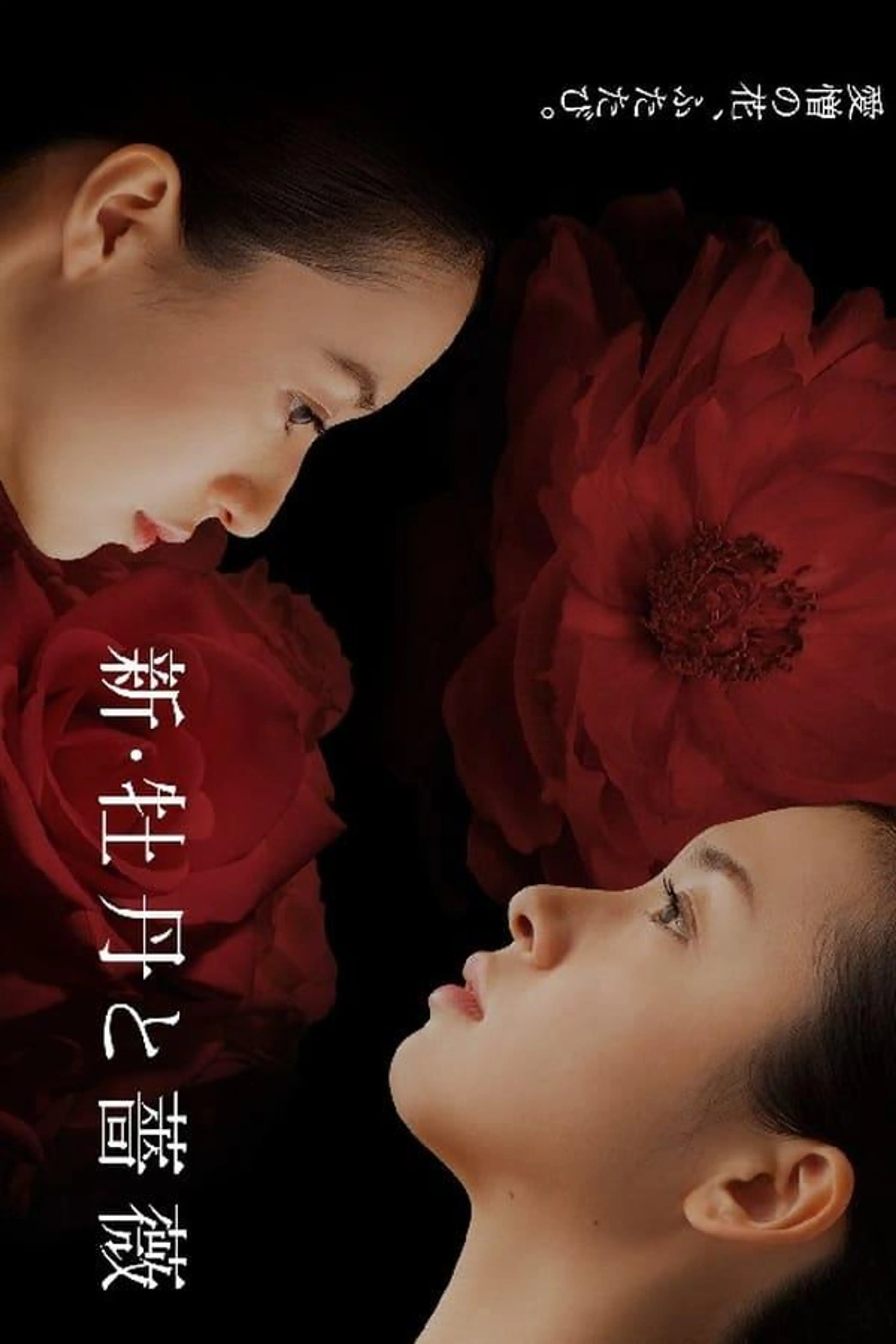 New: Love and Hatred Season 1