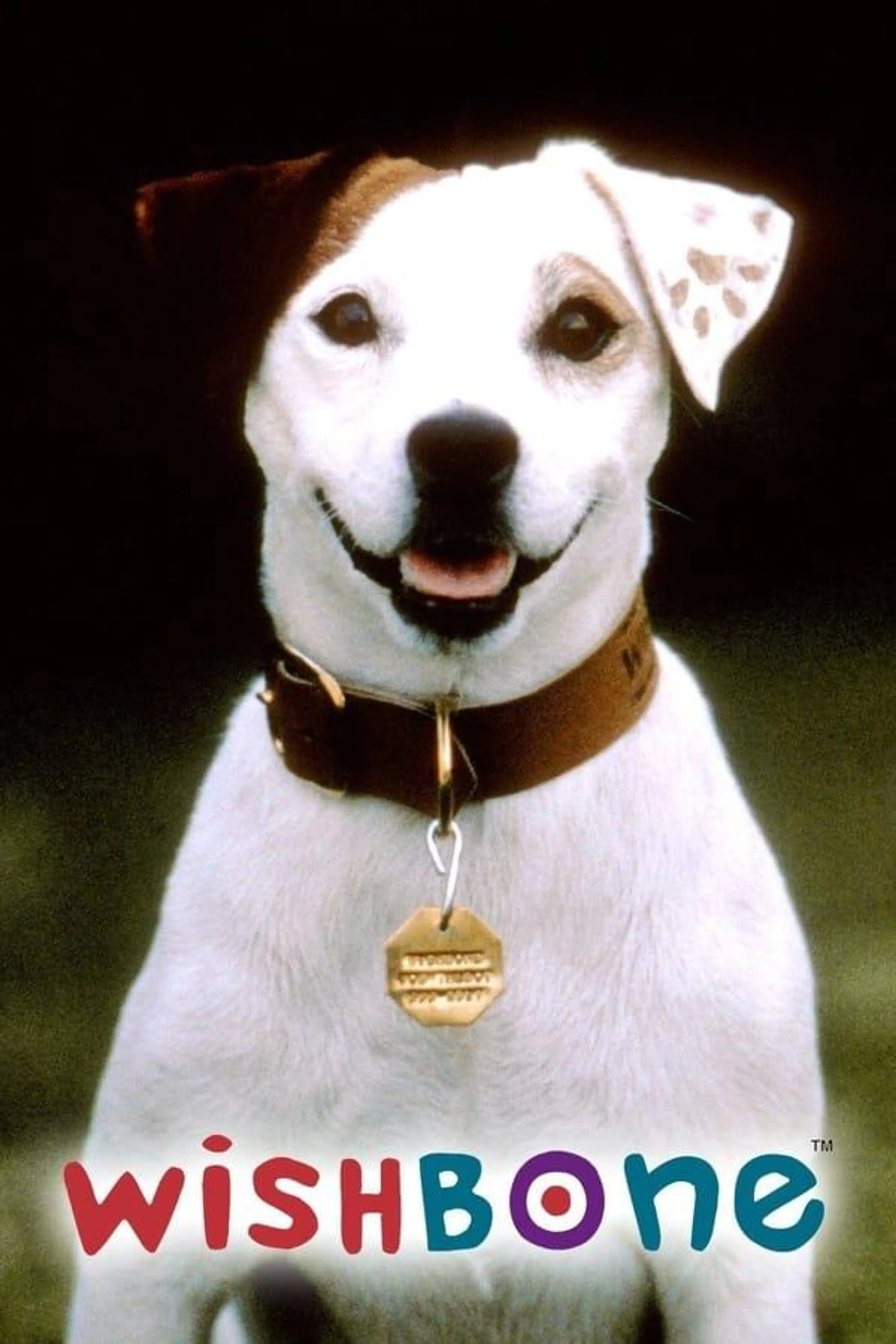 Wishbone Specials