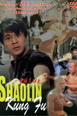 Li Lian Jie's Shaolin Kung Fu