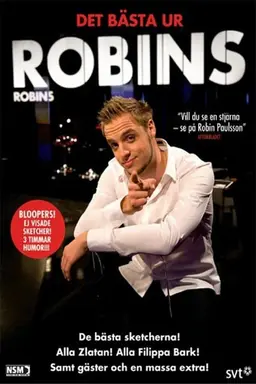 Robins Season 2