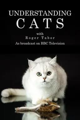 Understanding Cats Miniseries