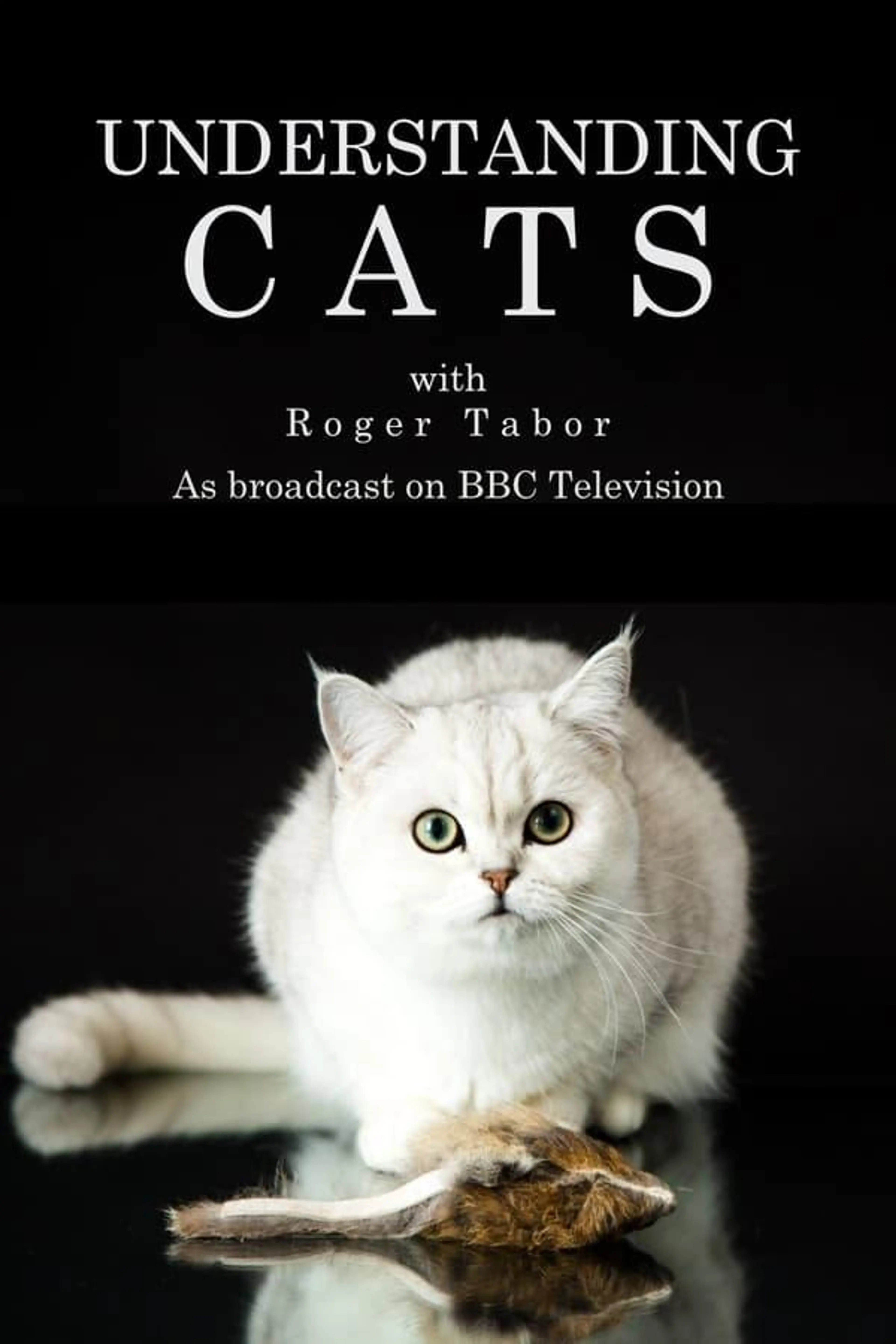 Understanding Cats Miniseries
