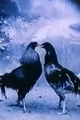 Criminal Animals