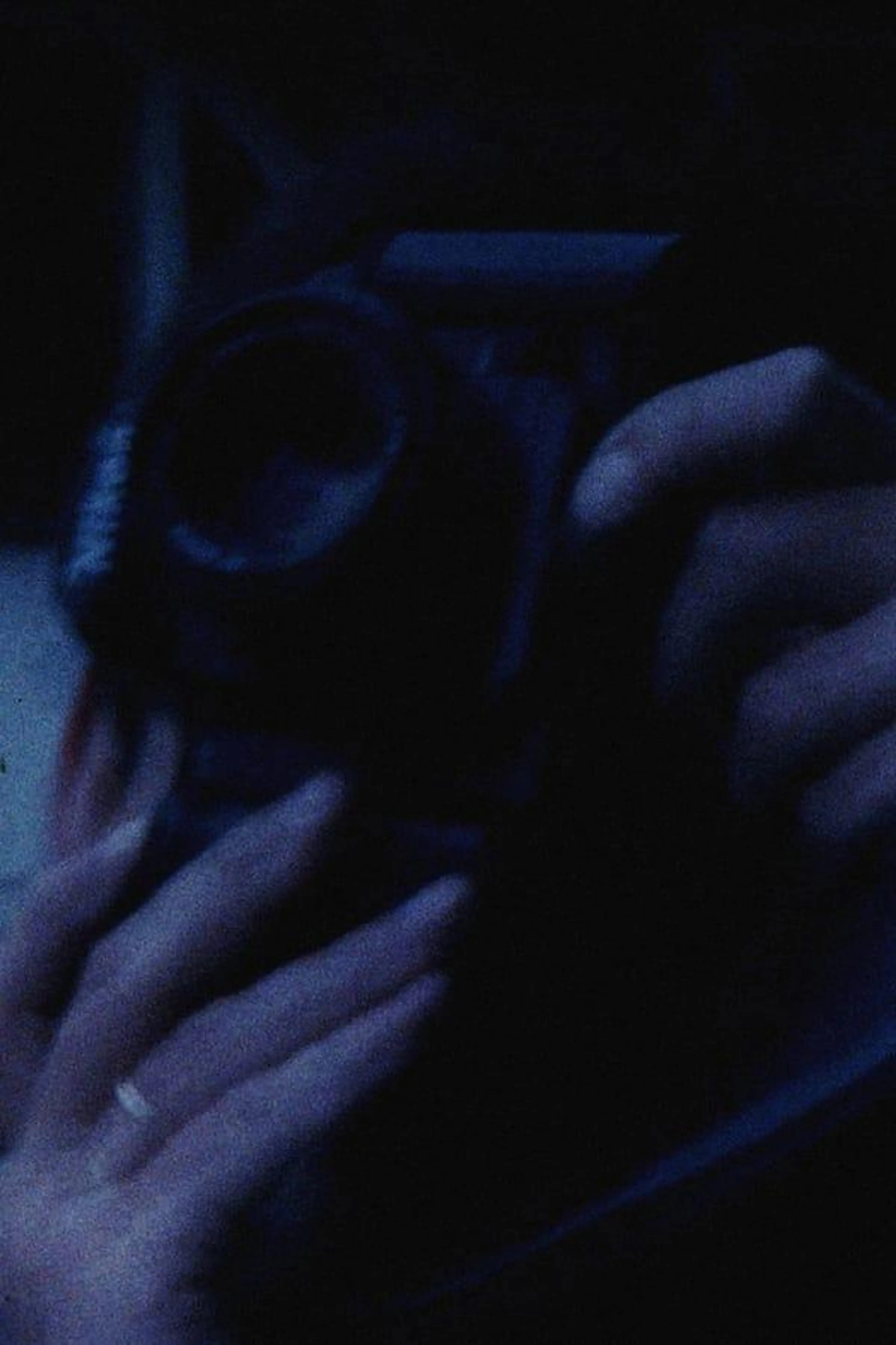 49/95: thousandyearsofcinema