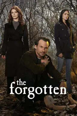 The Forgotten Season 1