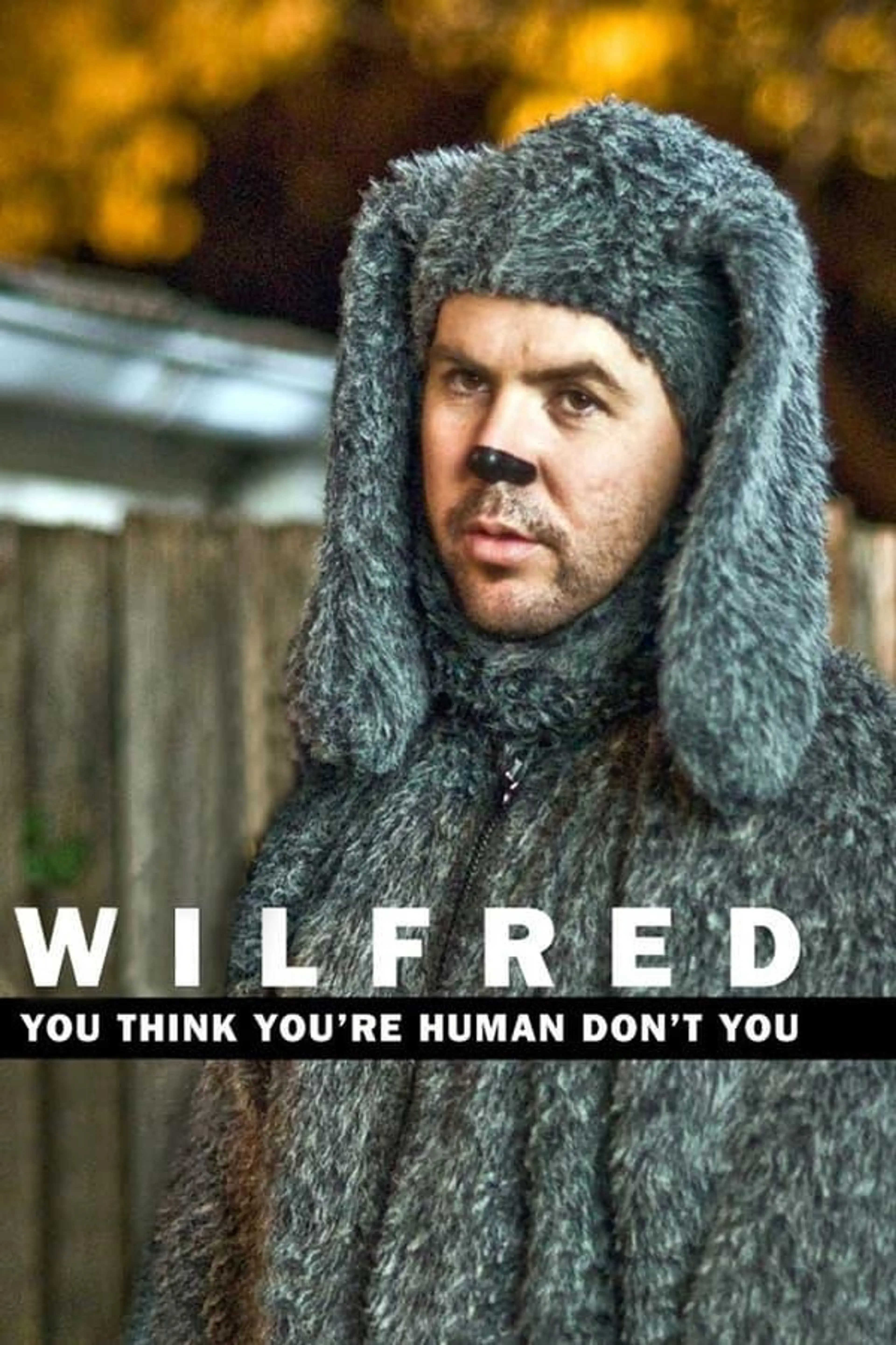 Wilfred Specials