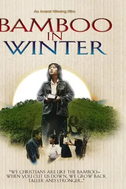 Bamboo In Winter