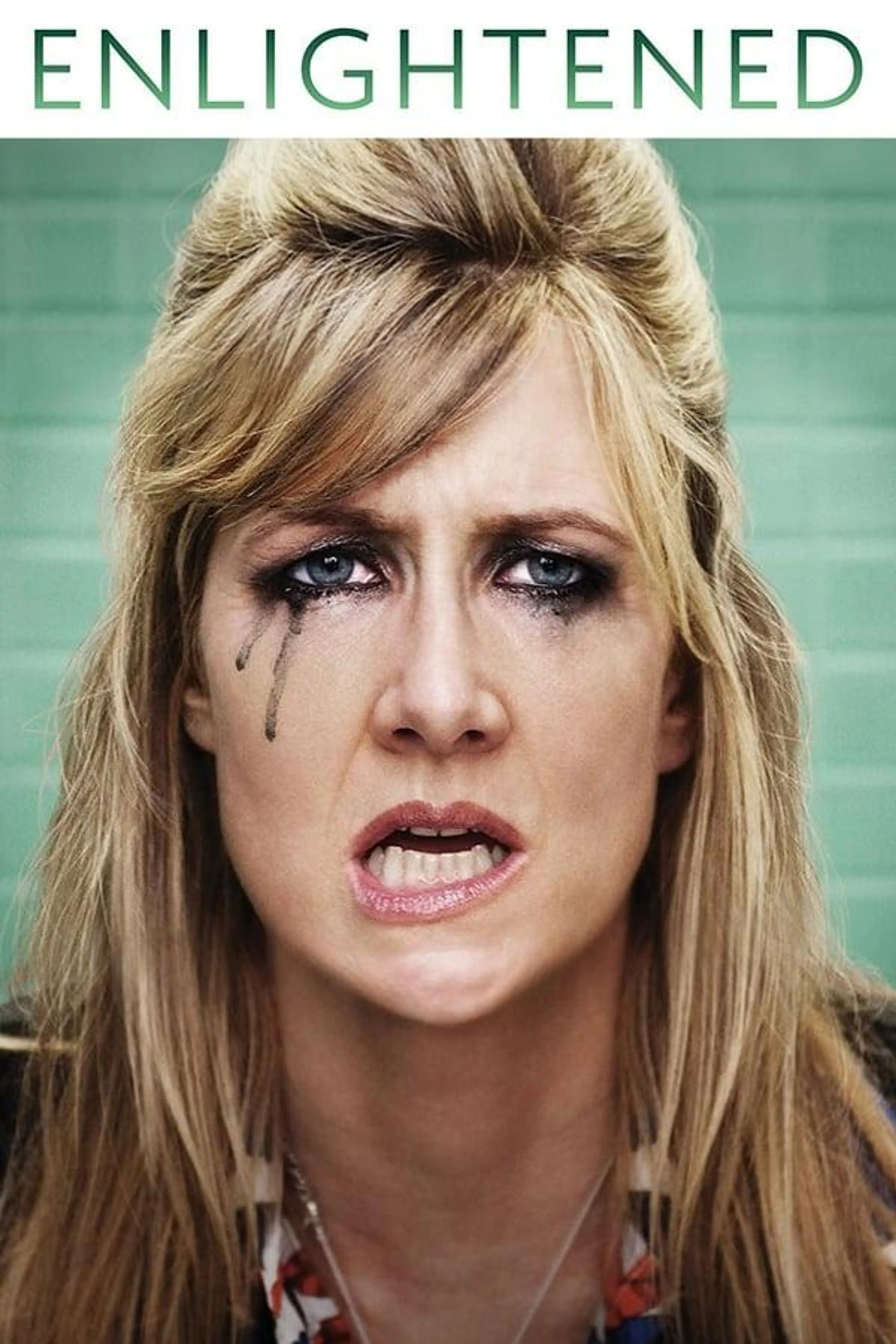 Enlightened Season 1