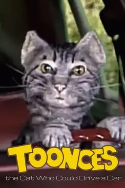 Toonces, the Cat Who Could Drive a Car