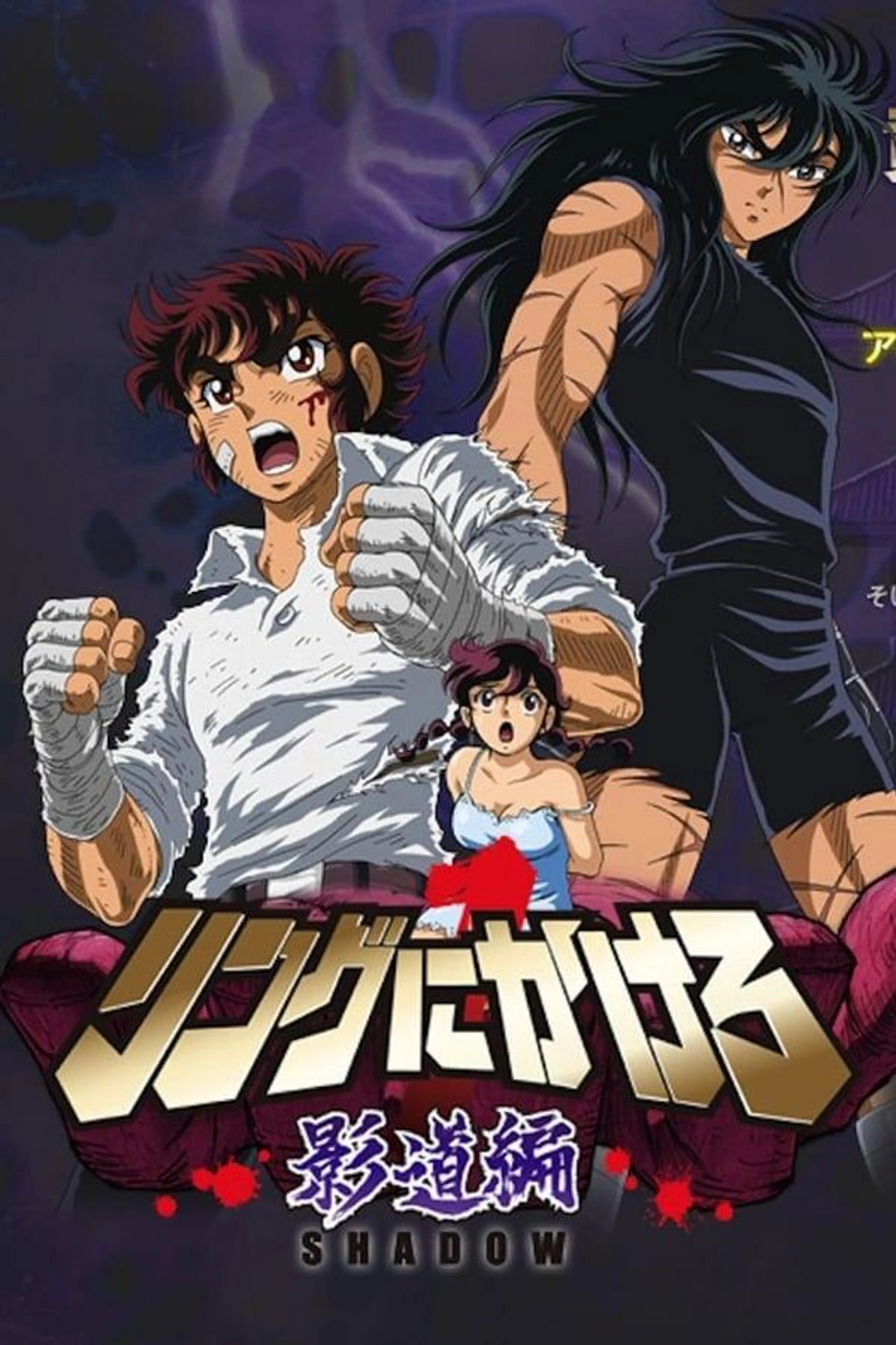 Ring Ni Kakero Shadow Chapter