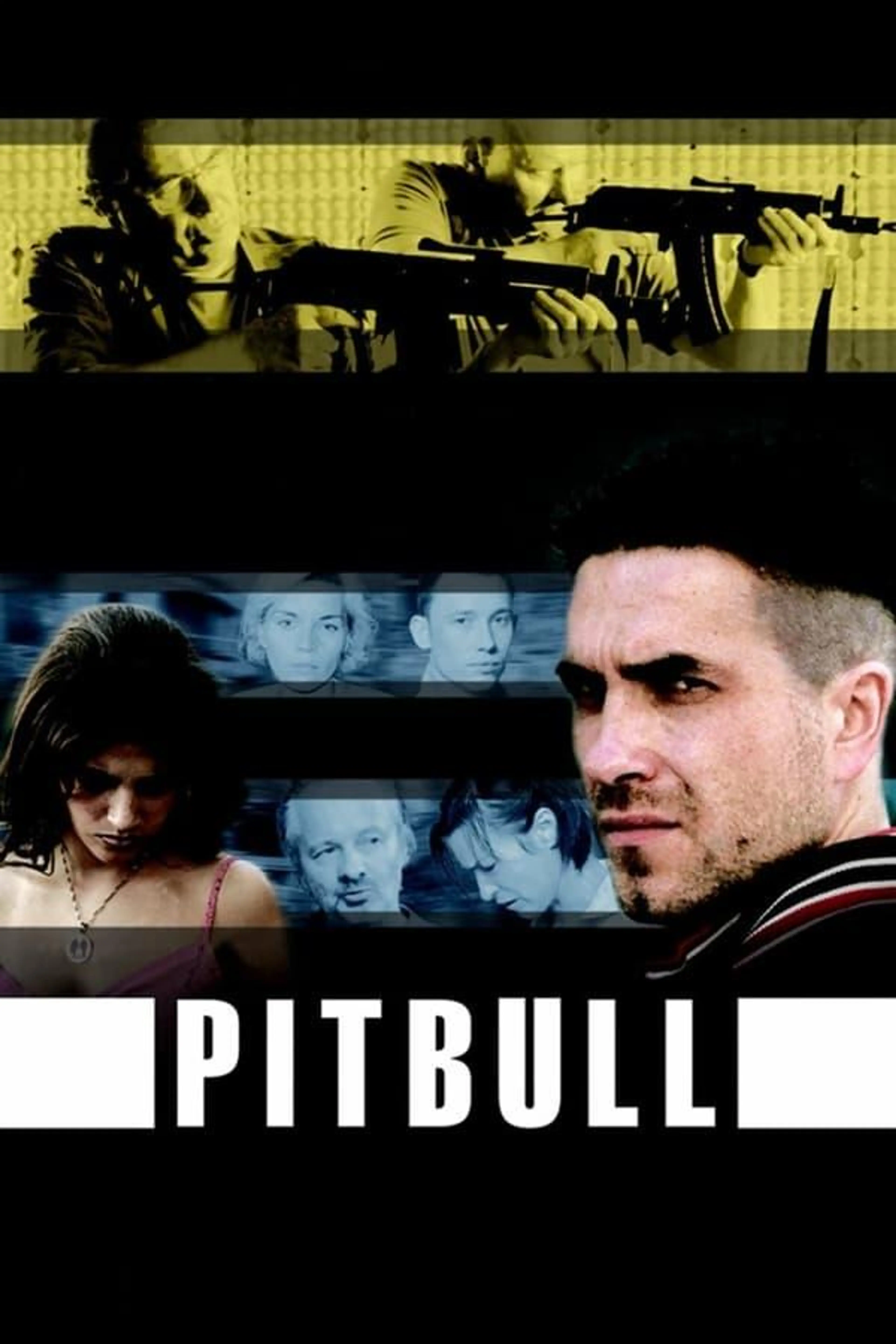Pitbull Season 2