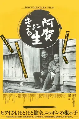 Living on the River Agano