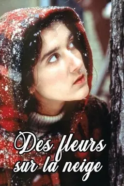 Des fleurs sur la neige
