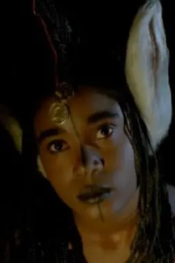 Fary the Donkey