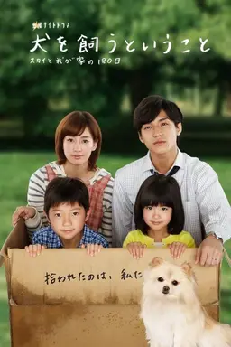 My Dog, My Happiness Season 1