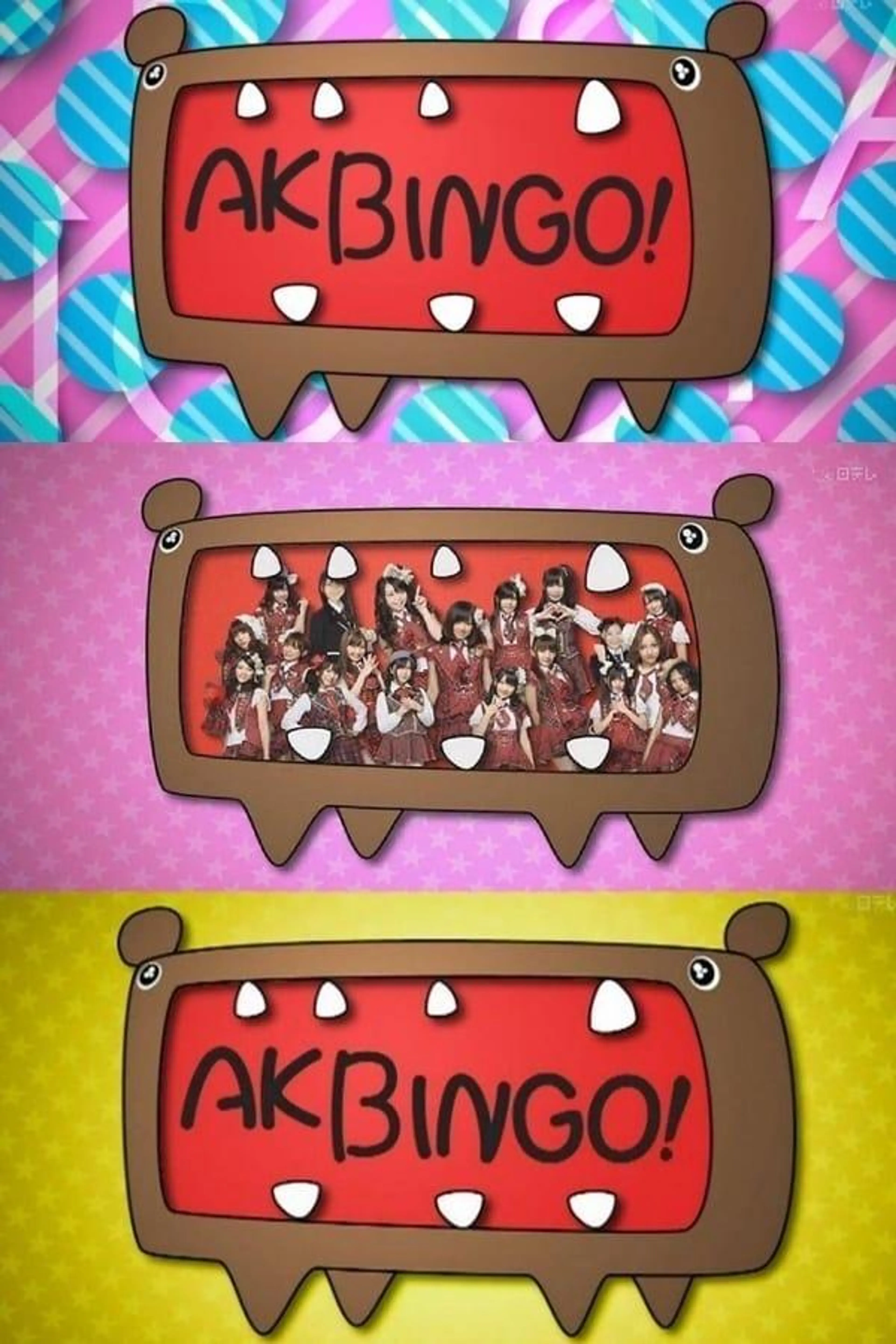 AKBINGO! 2013