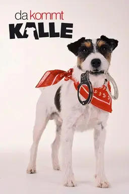 Here Comes Kalle Season 1