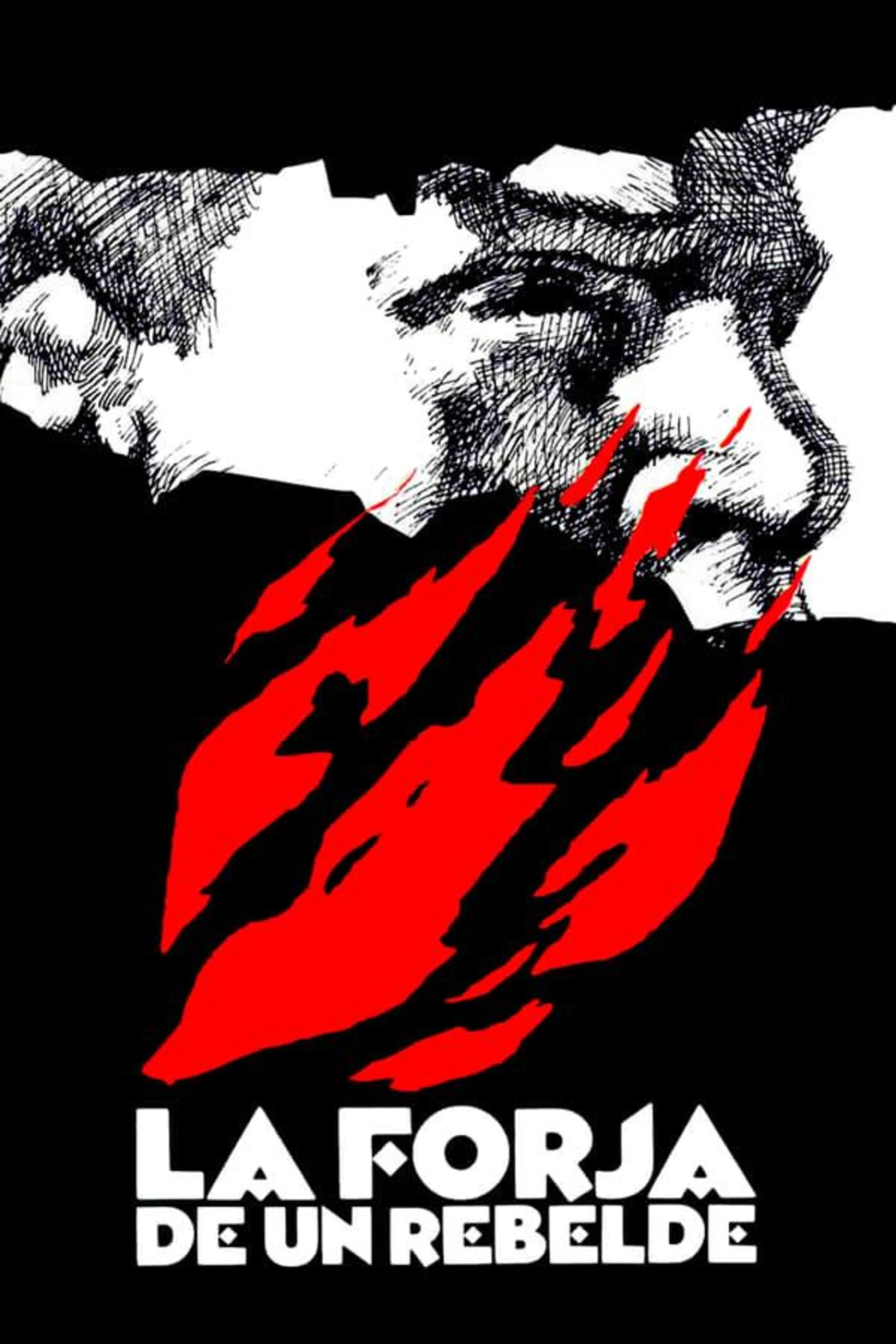 La Forja de un Rebelde Miniseries