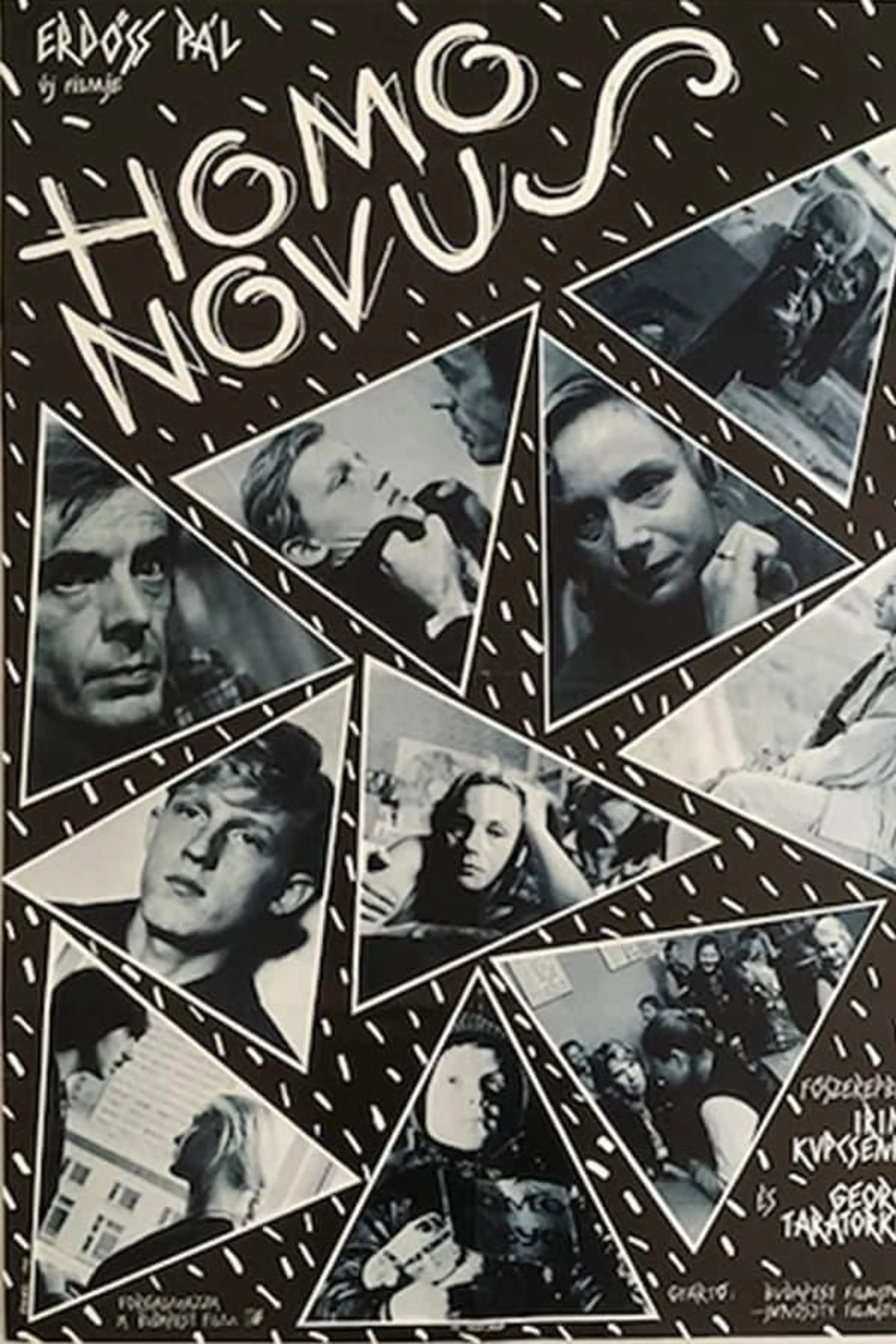 Homo Novus