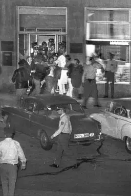 Todorov - Ein Gangster Film