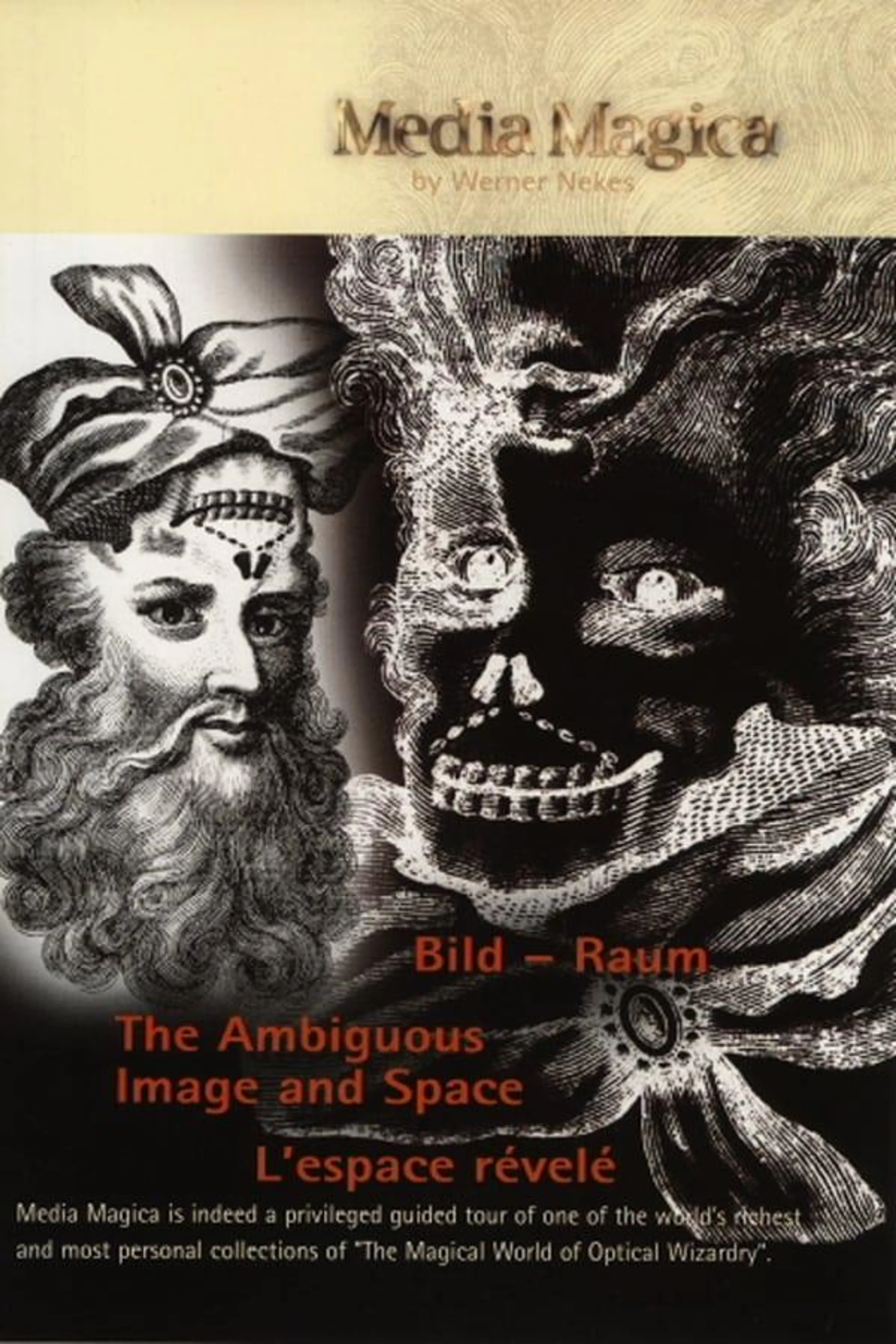 The Ambiguous Image and Space