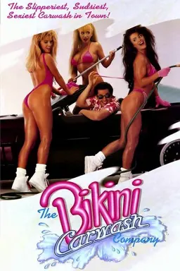 The Bikini Carwash Company
