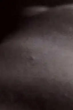Fleshfilm
