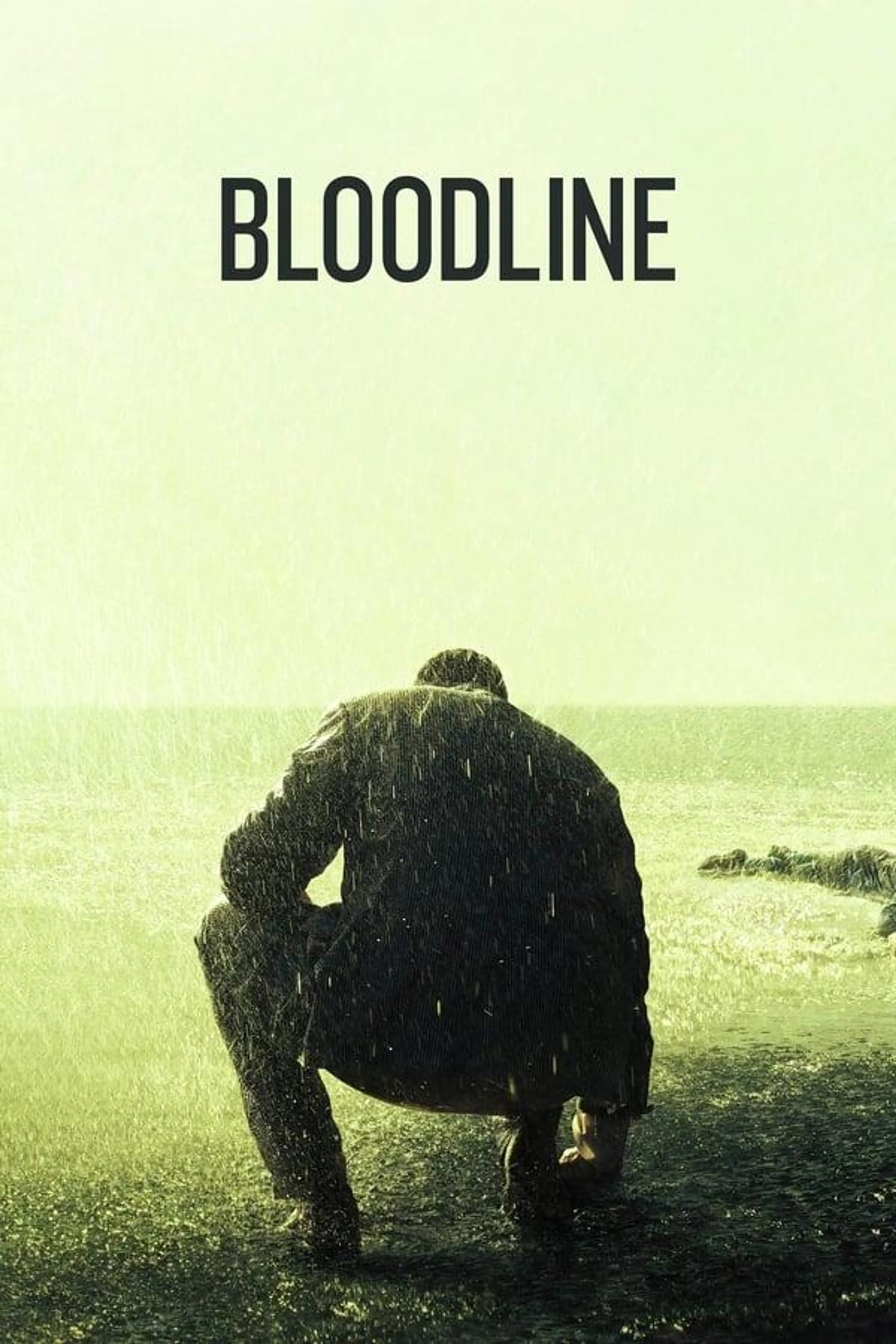 Bloodline Season 2