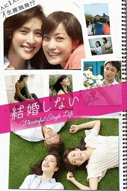 Wonderful Single Life Season 1