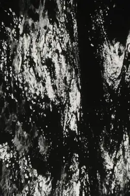 Bitemporal Vision: The Sea