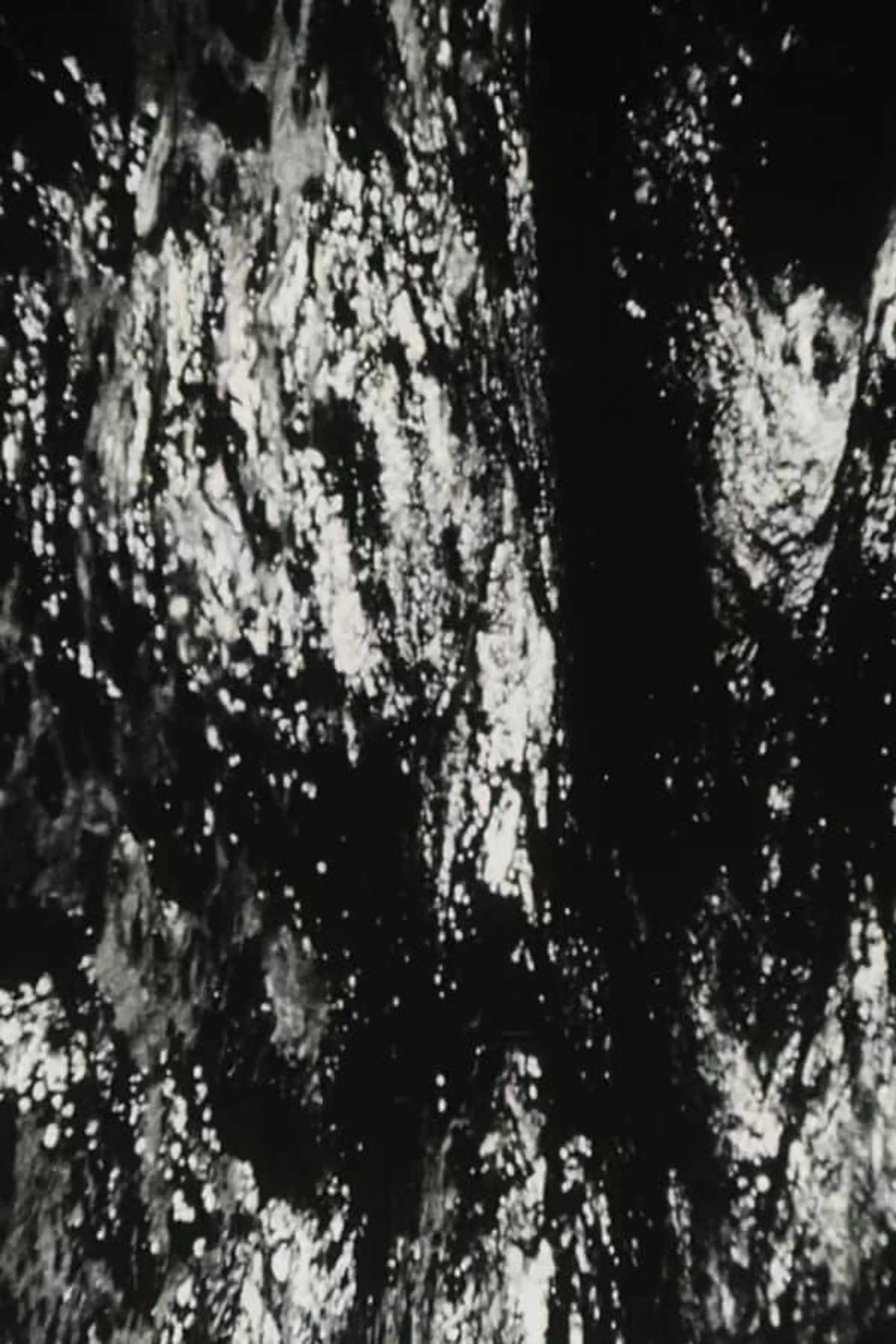 Bitemporal Vision: The Sea