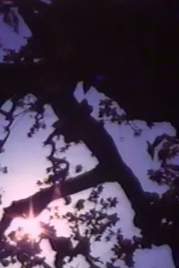 Light Point