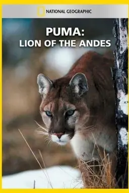 Puma: Lion of the Andes