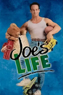 Joe's Life Season 1