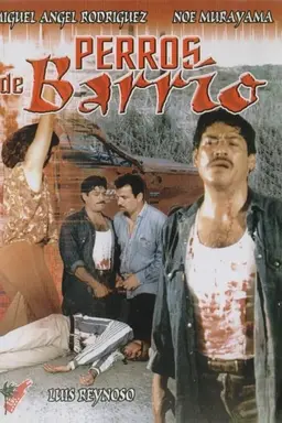 Perros de barrio