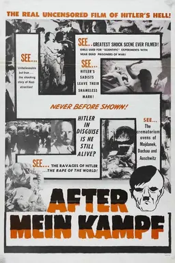 After Mein Kampf?