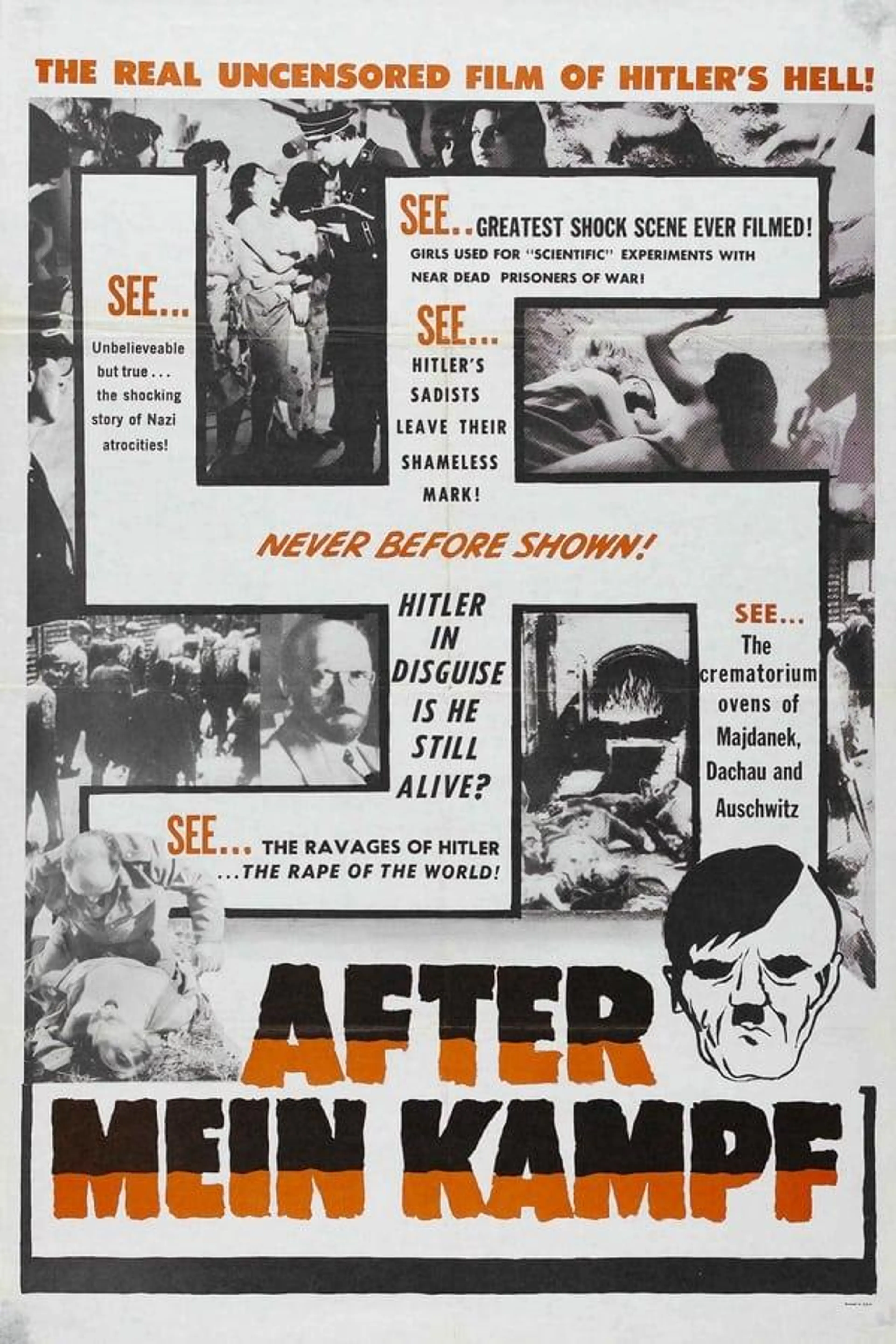 After Mein Kampf?