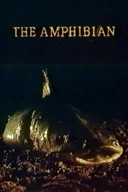 The Amphibian