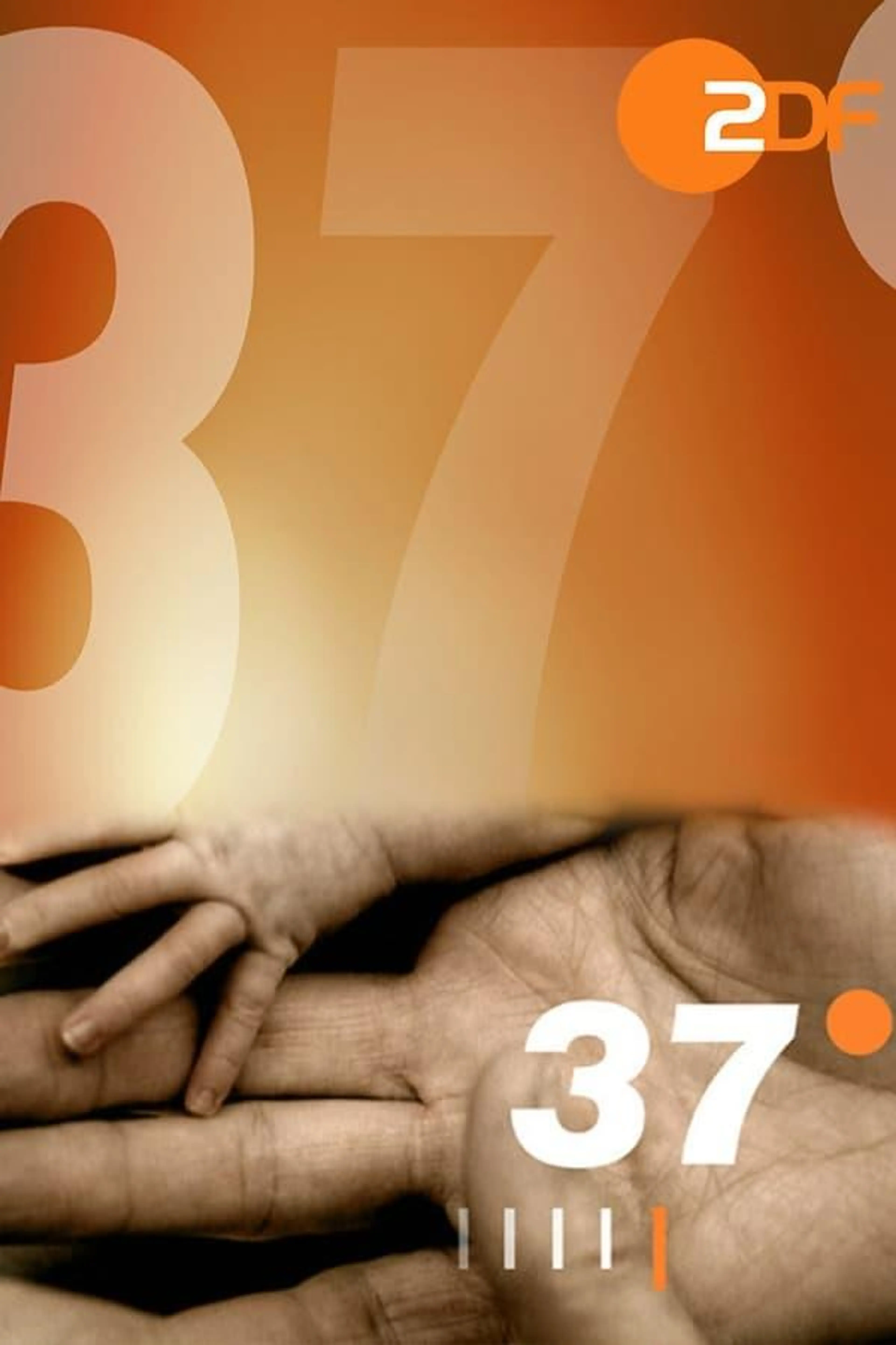 37 Grad Season 2