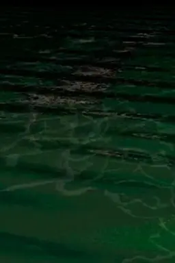 Ojo de pez