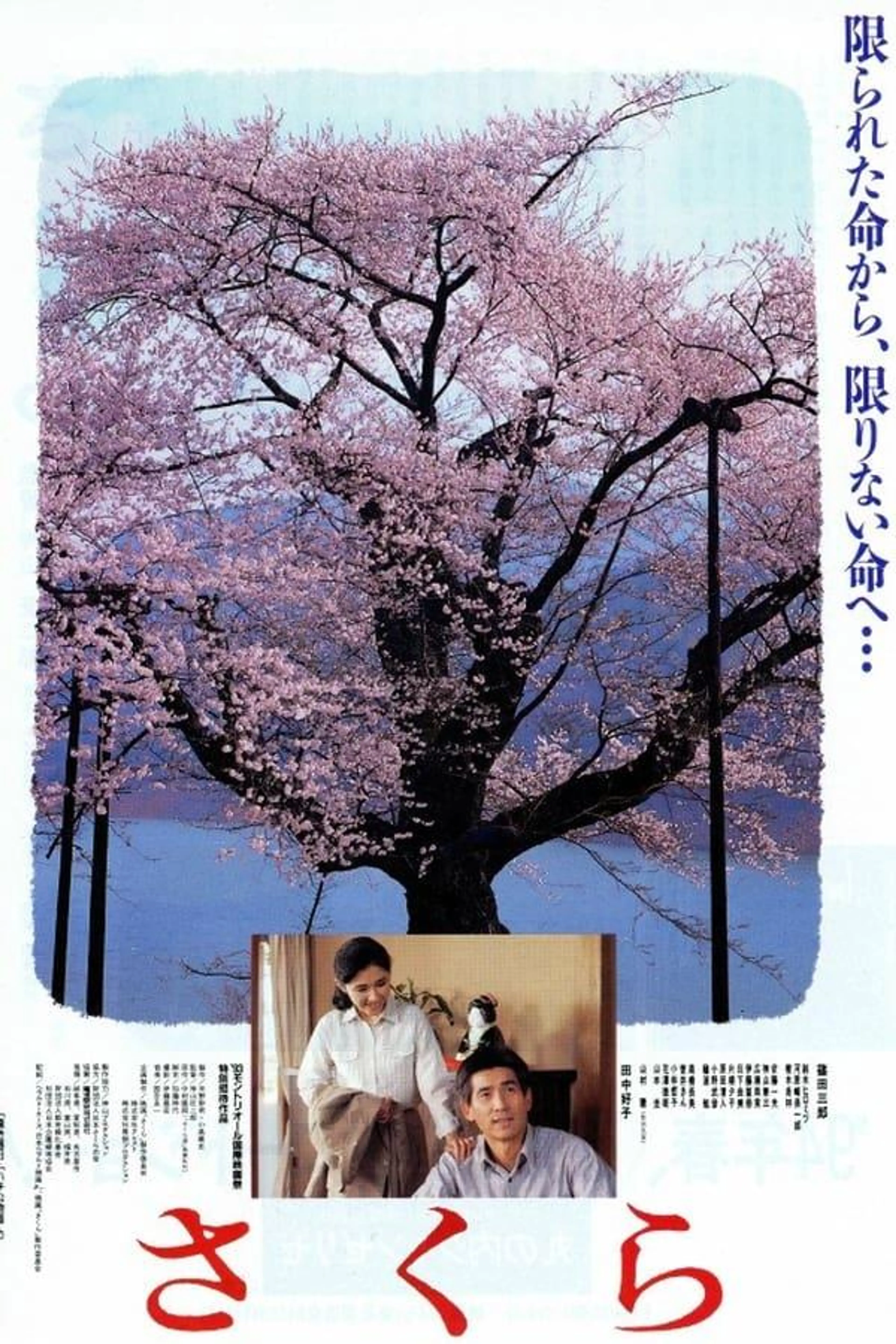 Sakura