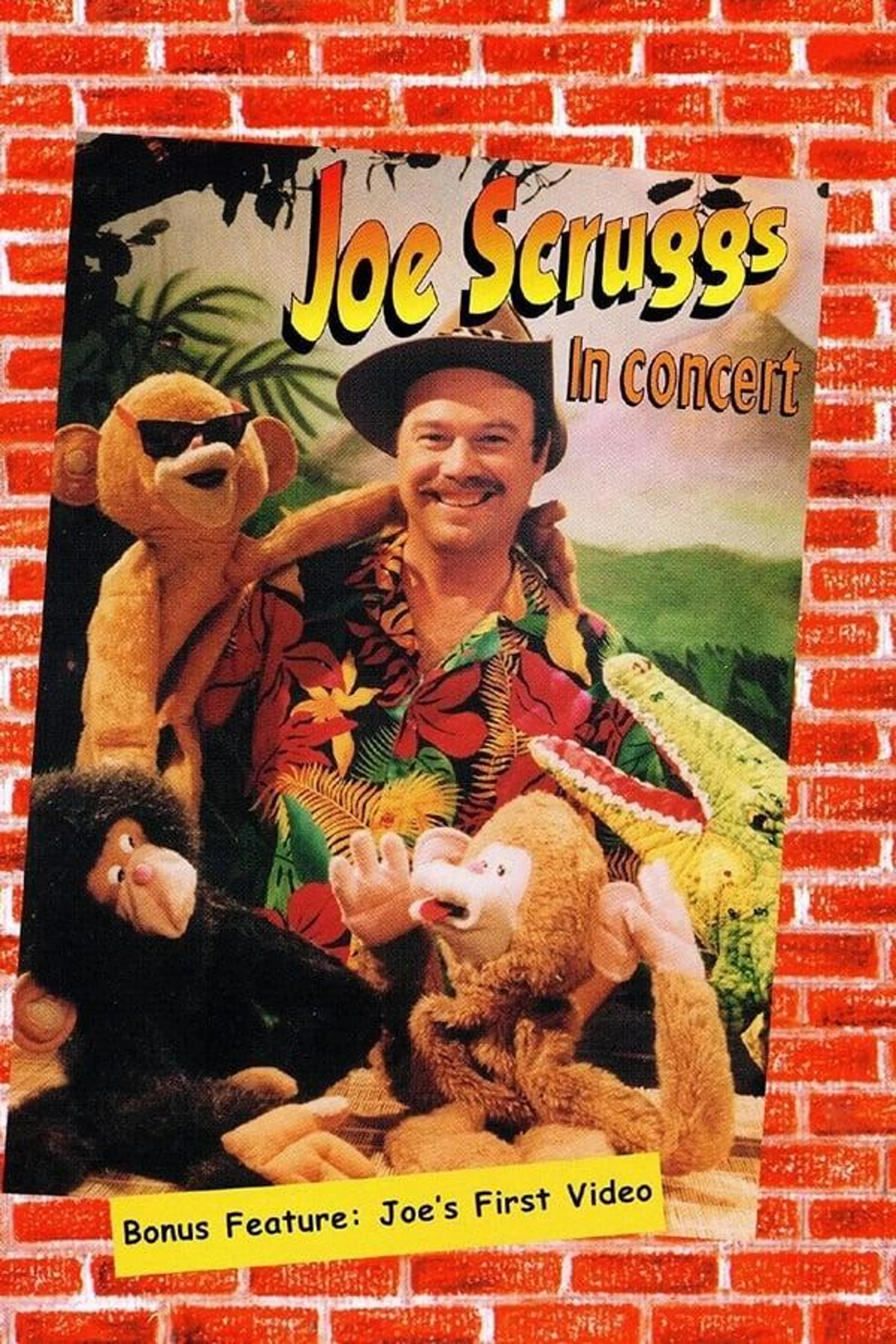 Joe Scruggs in Concert