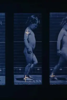 Muybridge