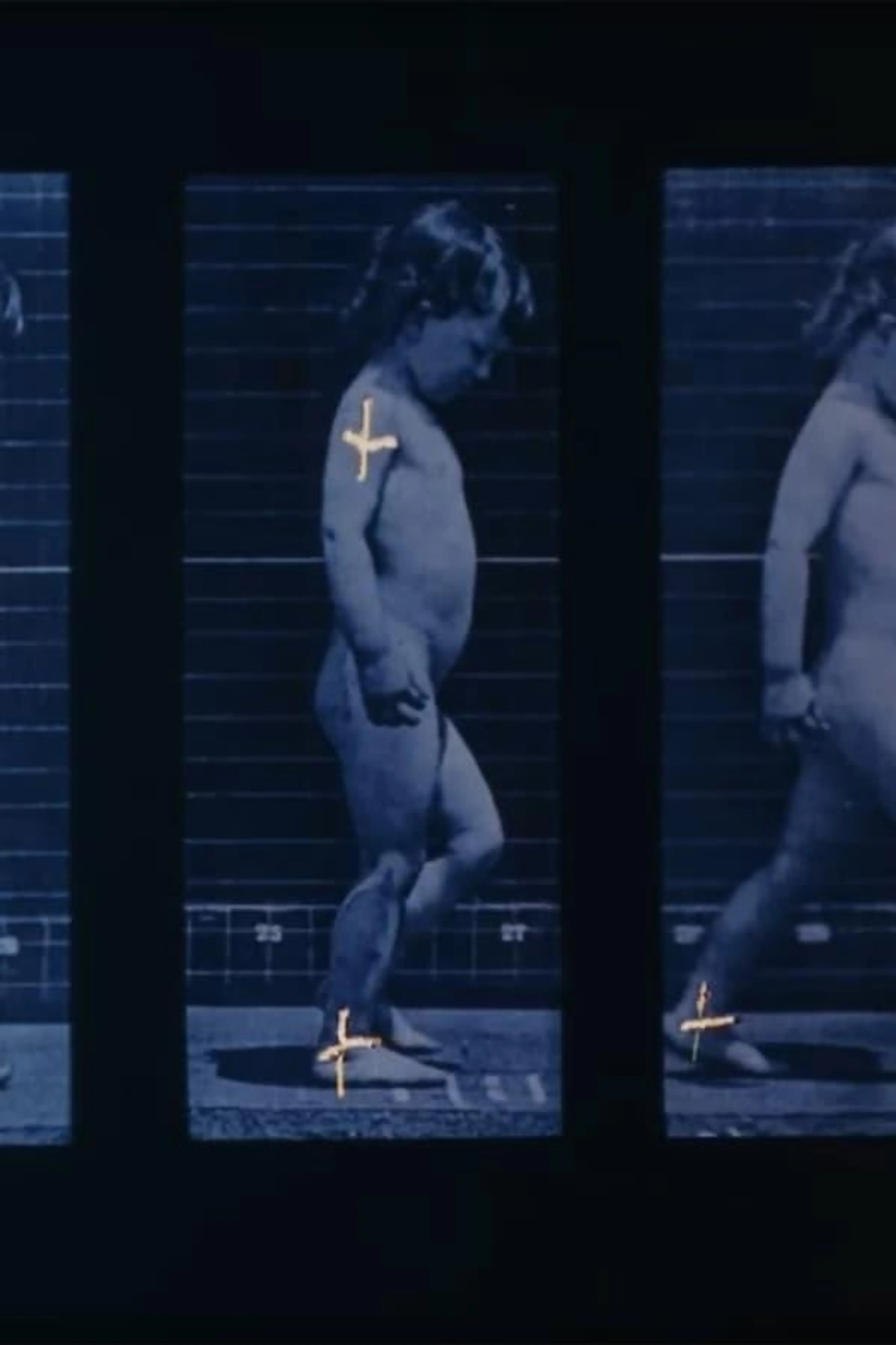 Muybridge